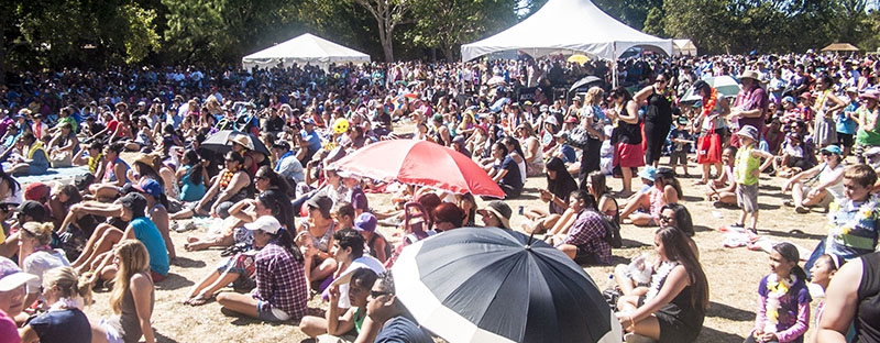 Image of the crowd at Pasifika Festival in Auckland. Image credit: Auckland NZ