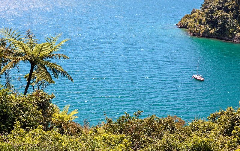 A yacht moored up in a secluded Marlborough Sounds bay