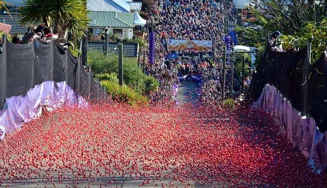 Jaffas hurtle down Baldwin St, Dunedin at the Cadbury Chocolate Carnival