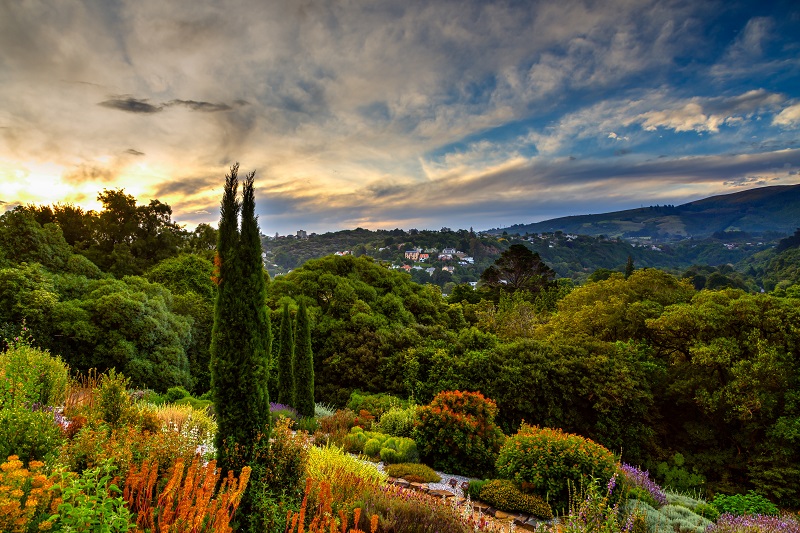 Sunset in botanic garden, Dunedin