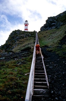 There are 253 steps up to the Cape Palliser Lighthouse. Photo credit: teara.govt.nz