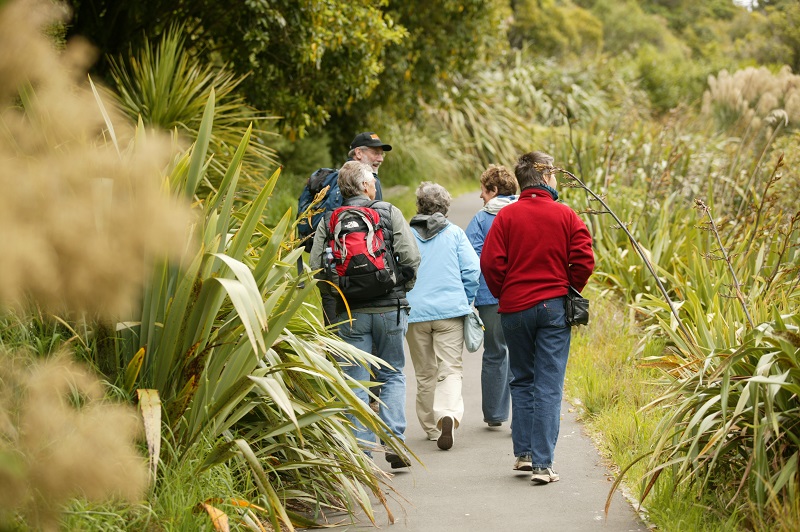 A guided walk at Zealandia. Photo credit: Zealandia