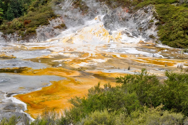 Image from Geothermal Pools at Hell's Gate, Rotorua