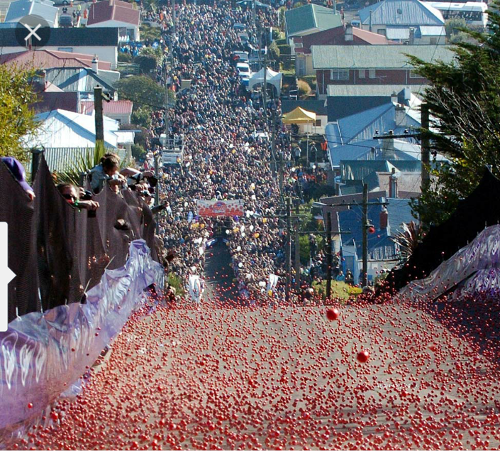 The famous Jaffa Race down the world's steepest street in Dunedin
