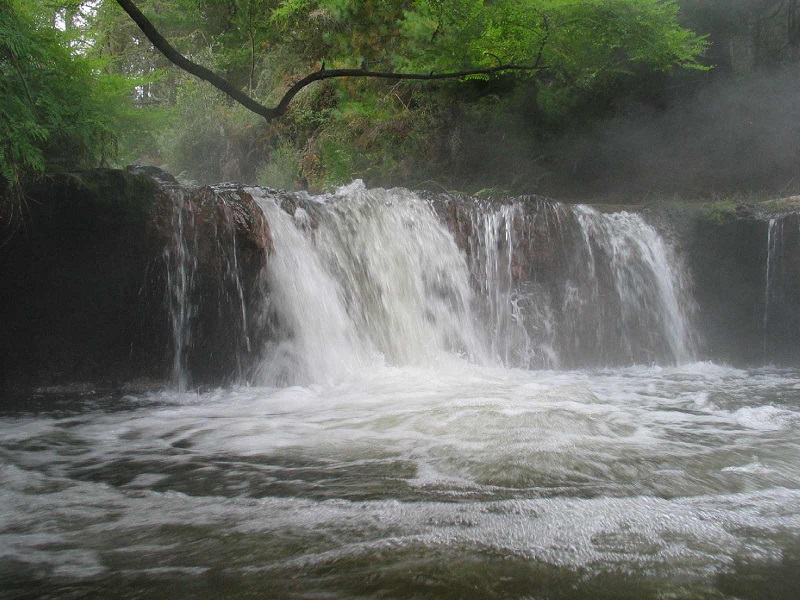 Kerosene Creek is a short walk with a great ending - the natural thermal waters of the creek