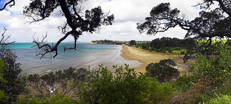 A view looking back towards Long Bay Regional Park beach