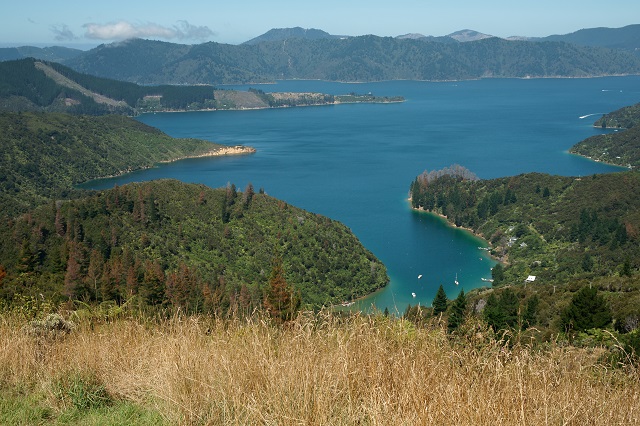 Image of a view looking down onto the Marlborough Sounds from the Queen Charlotte Track