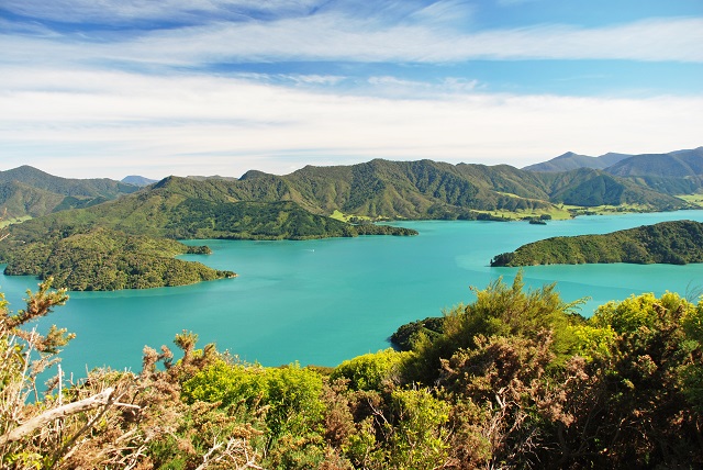 Image of the stunning blue water of the Marlborough Sounds
