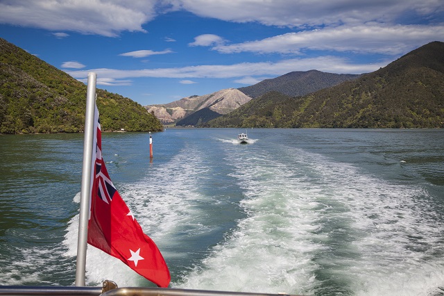 Image of the wake of a boat cruising on the Marlborough Sounds