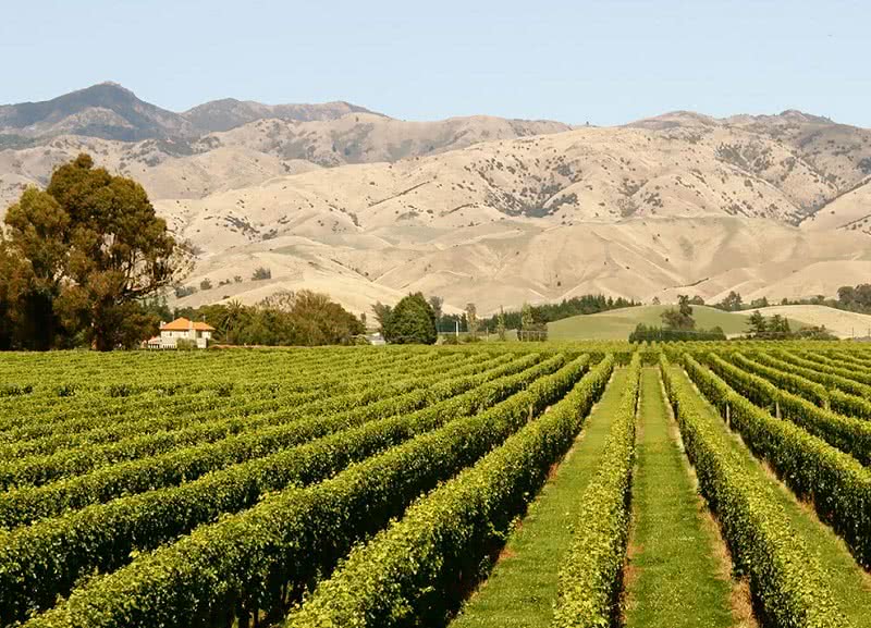 Take a Marlborough Win Tour #5 on our list of things to do in Picton