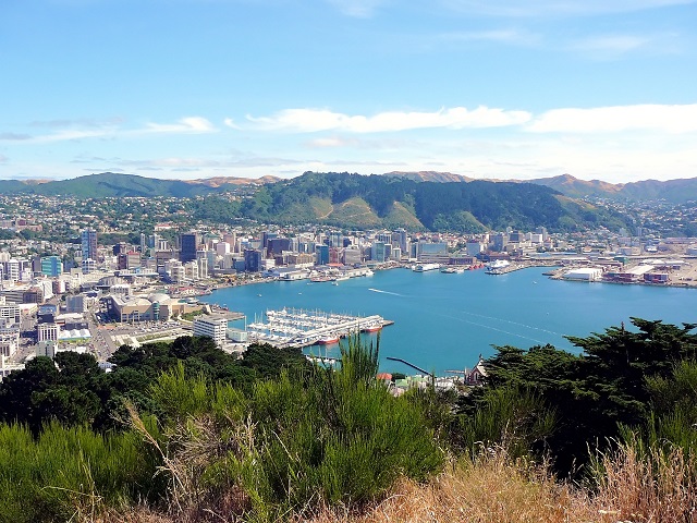 Image of the view from the top of Mount Victoria in Wellington