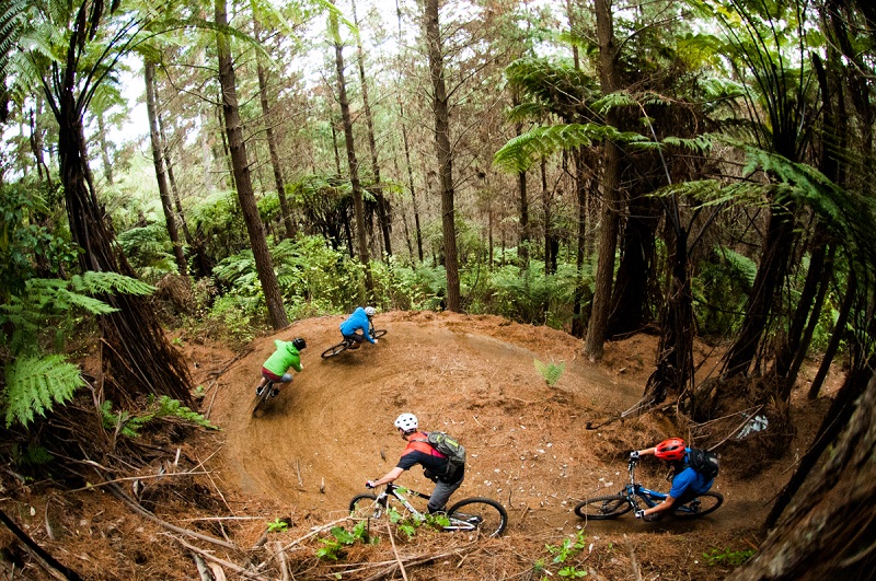 Mountain Bikers heading down one of the trails in the Redwoods, Rotorua