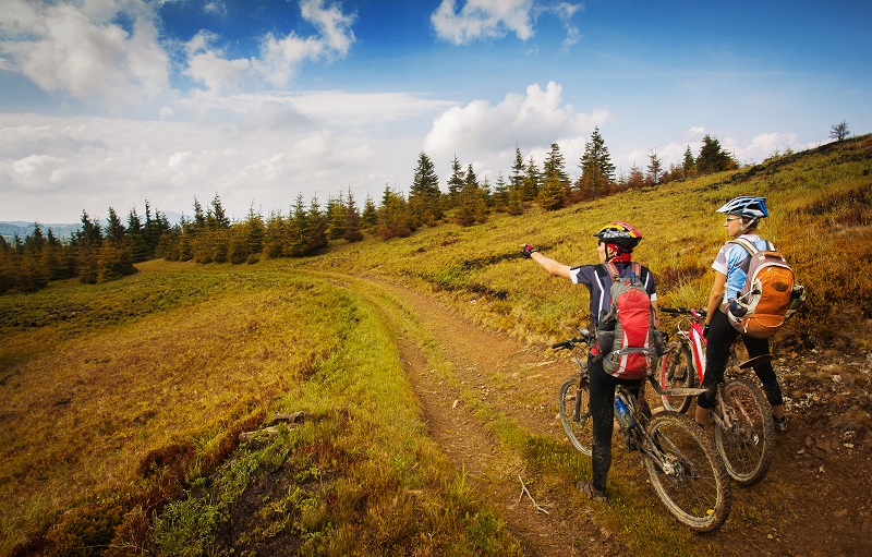 Wellington has some great mountain bilking trails