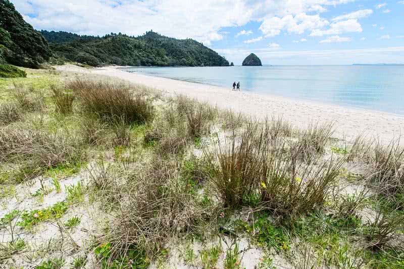 New Chums Beach on the Coromandel. Photo credit: Altan Ramadan Flickr