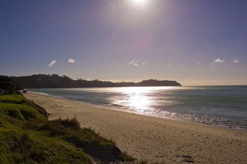 Onetangi Beach on Waiheke Island. Photo credit: Andy McDowall