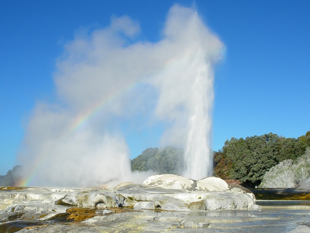 Image of Pohutu Geyser eruption with a rainbow over, Te Puia, Rotorua