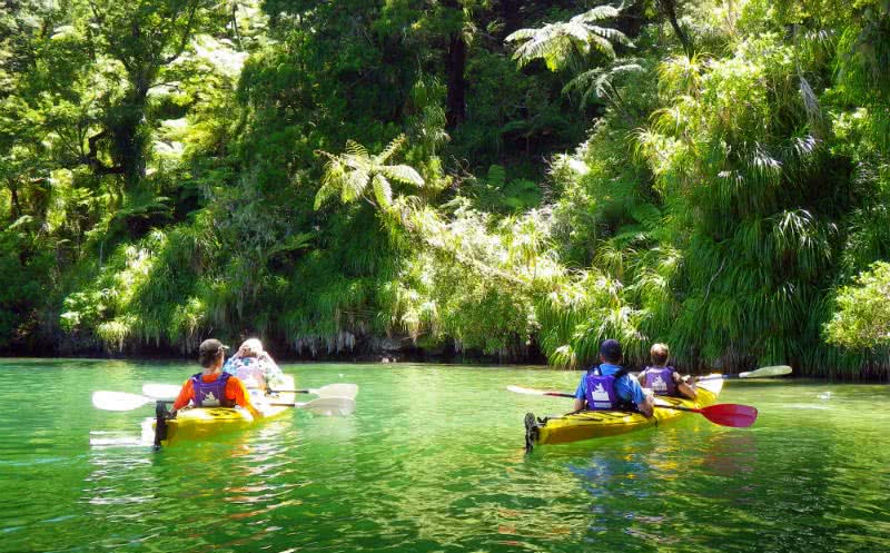 Kayak the Queen Charlotte Sounds #4 on our list of things to do in Picton
