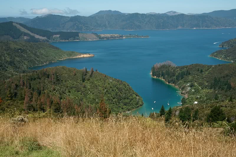 Hike the Queen Charlotte Track #2 on our list of things to do in Picton