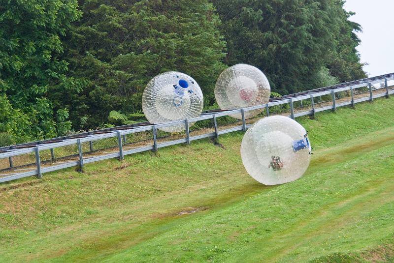 Zorbing is a perennial favourite in Rotorua 