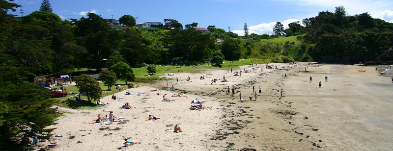 There are some beautiful beaches on Waiheke Island