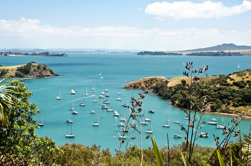 Waiheke is a must on any Auckland to do list