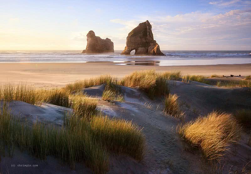 Wharariki Beach near Nelson. Photo credit: Chris Gin