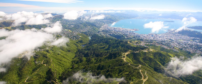 Zealandia aerial shot. Photo credit: Tom Lynch