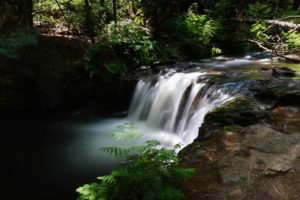 Kerosene Creek, Rotorua