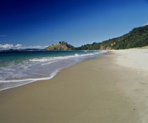 New Chums Beach, Whangapoua