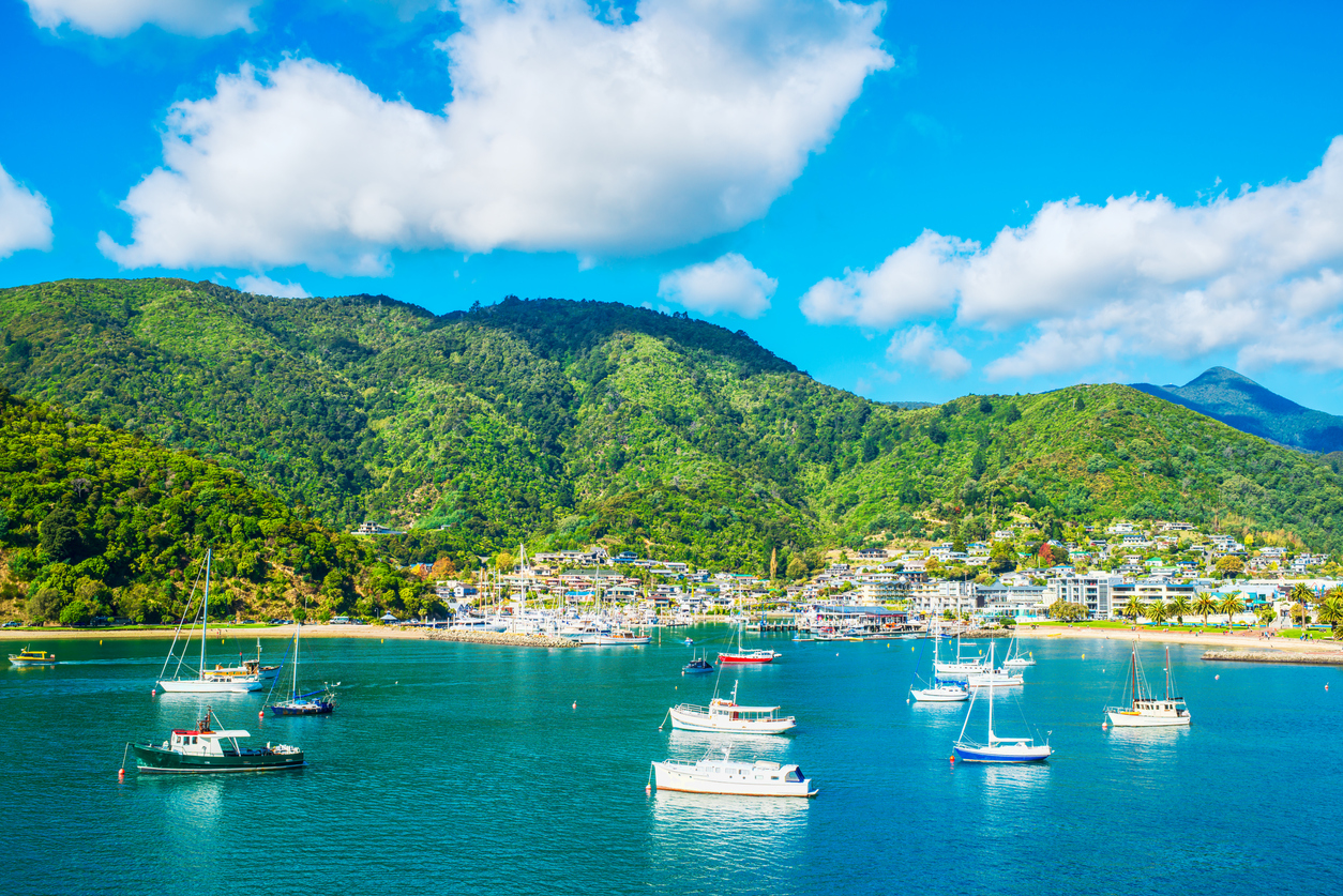 Image of Picton harbour with boats.